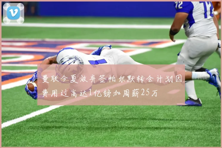曼联今夏放弃签帕尔默转会计划因费用过高达1亿镑加周薪25万